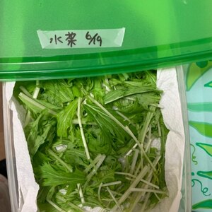 長持ち 水菜の冷蔵 冷凍保存方法 レシピ 作り方 By 新米幸せママ 楽天レシピ 長持ち 水菜の冷蔵 冷凍保存方法 レシピ 作り方 By 新米幸せママ 楽天レシピ
